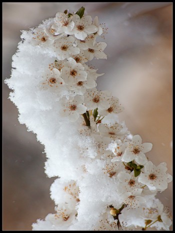 Коли небо стає білим