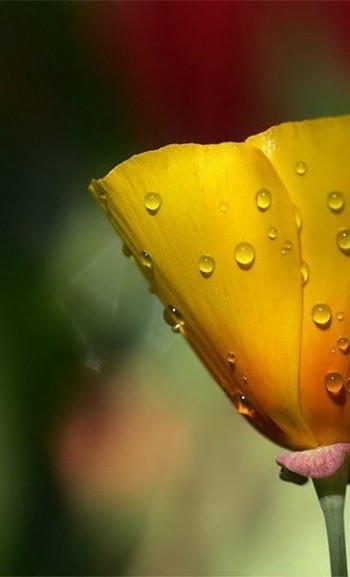 Місце над рікою