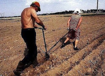 Баба за плугом