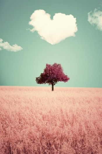 А я – люблю