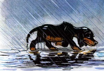 Бездомне цуценя