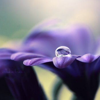 Поцілую тебе востаннє