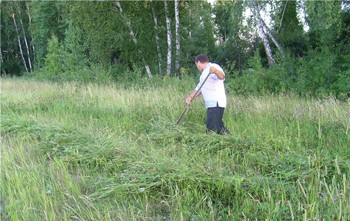Татова помічниця