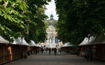 Спалахнули каштани свічами...