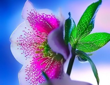 Я не хочу тебе втрачати