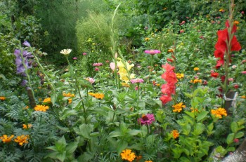 Раділа мама, як рясніли квіти