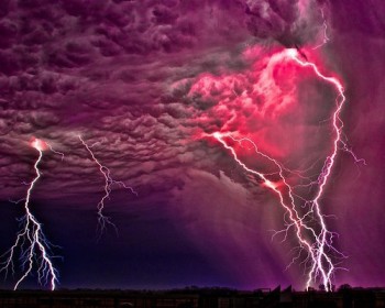 Горобина ніч