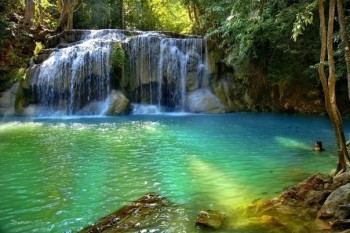 Мрії і думки перед ЗНО