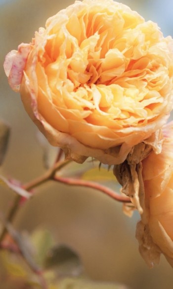 Відпочинок у безкінечності