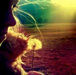 Танка трепетної ніжності