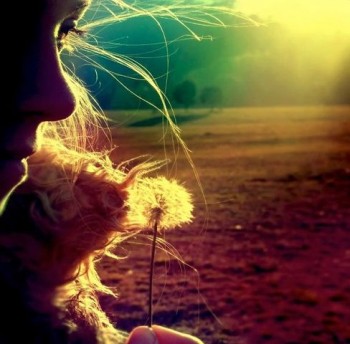 Танка трепетної ніжності