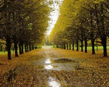 Не знищена тобою