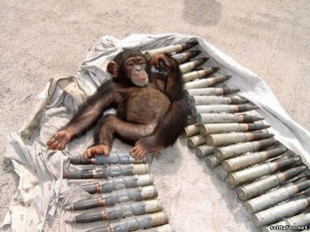 ЗВІРЯЧА ХРОНІКА