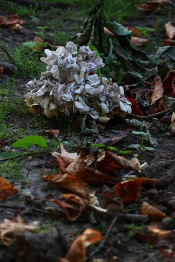 «Місто» – «Люди» – «Речі», або живе мертвим не буває