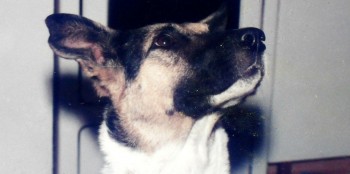 САНТА, ДОНЬКА ТИМКИ