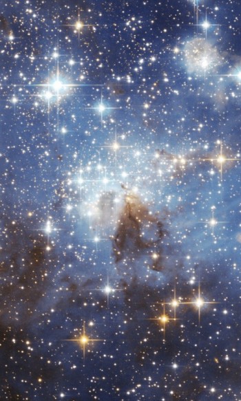 СОННІ ЧЕРНЕТКИ