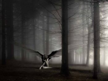 Ти просто був хорошою душею