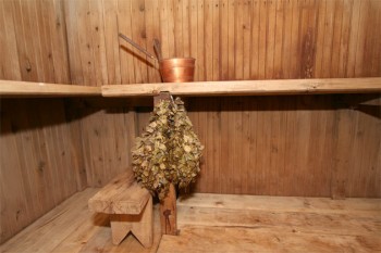 Что выбрать: дубовый или березовый веник?