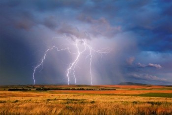 Загнані вовки