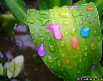 Дозволь мені...