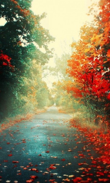 ЗАМАЛЬОВКА &laquo;Настрій&raquo;