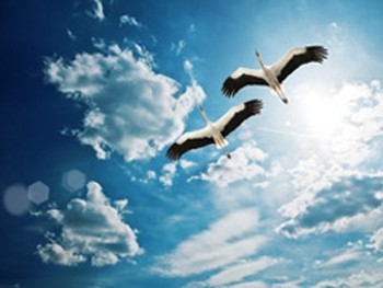 Прихід осені