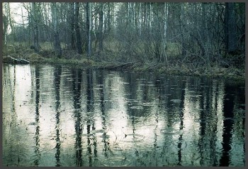 Я зупинилась