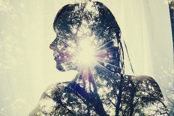 Коти приносять щастя