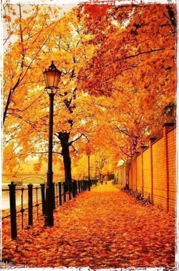 Опадає листя…