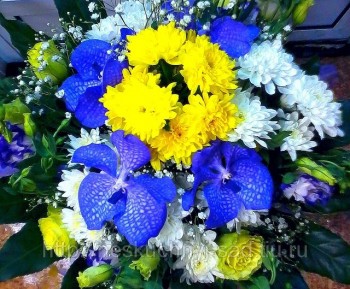 ВІТАННЯ ДЛЯ СВІТЛАНКИ!