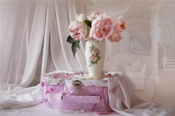 ВІТАННЯ РАЧИНСЬКІЙ СВІТЛАНІ