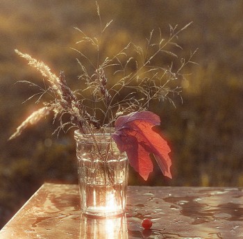 Неосяжний ноктюрн