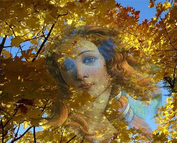 Коротке бабине літо