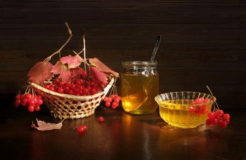 Медово-калиновий сон