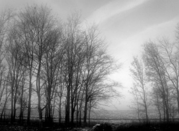 Шаленіють вітри....