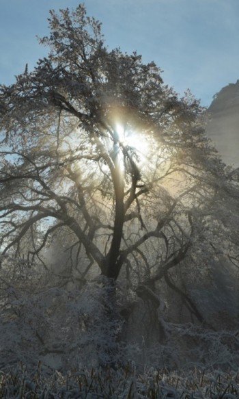 РОЗТОКАМИ ДУШІ...