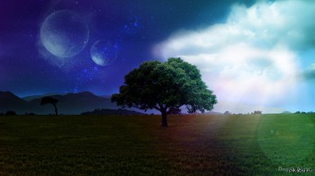 Літні замальовки