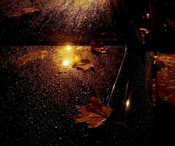 Ноктюрн у сні на двох