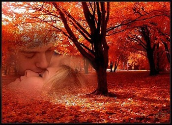 Палкі обійми