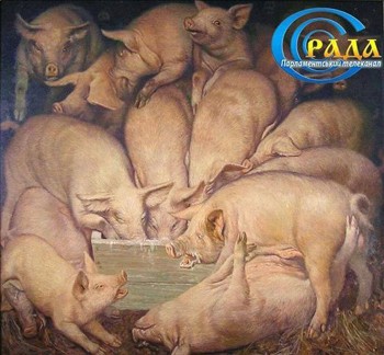 Сунуть свині в депутати