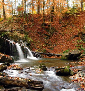 Осіннє макраме