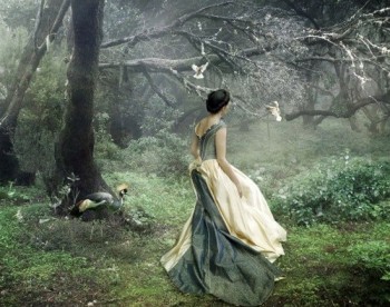 Вінницьким соснам