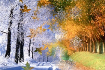 Плетиво міжсезоння