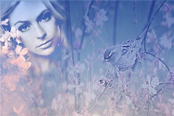 Душа горобчиком...