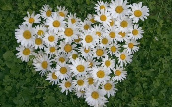 Невістонькам