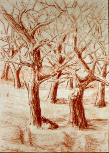 ПУХНАСТИМ СНІГОМ ДОЛІ ОПОВИТІ