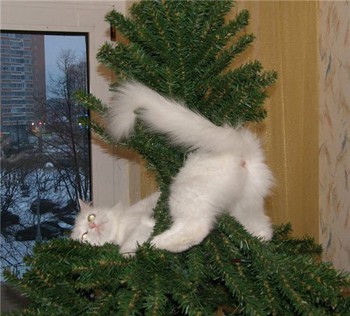 Важлива роль