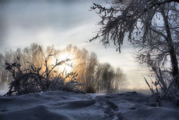 Казка снів крижаних