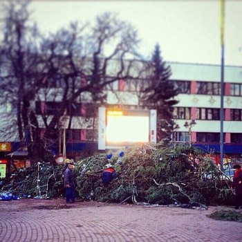 Ялинку поваливши…