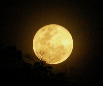 Мовчазними прощаннями скривлена місячна твердь